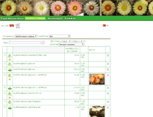 Tablet Screenshot of cactus-miroshnichenko.com.ua